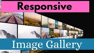 Responsive Image Gallery using flexbox HTML and CSS