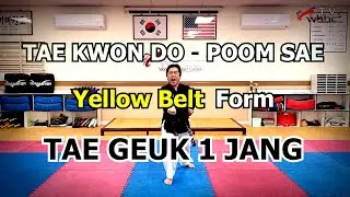 Yellow Belt - Tae Geuk 1 Jang                         #TaeGeuk1Jang #TaekwondoPoomsae #TaekwondoForm