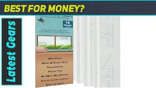 reviewW4W Fly Traps: Ultimate Fly & Bug Eliminator?