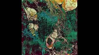 Wiseloop - Shapes of Nothing