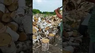 Hand Splitting Firewood ! Wood Cutting Axe #shorts
