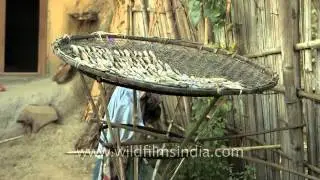 Perfect example of dehydration for fish preservation