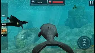 Whale Shark Attack Simulator | Android GamePlay