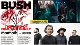 Тур Bush 2026 с участием Mammoth и James And The Cold Gun - даты/места проведения