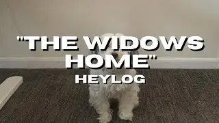 @byelog - the widows home