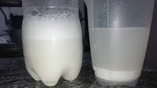 Fermento Natural Sem Reformas Muito Fácil