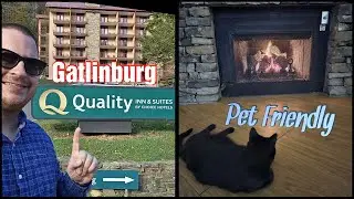Pet Friendly Gatlinburg - Quality Inn & Suites -Tennessee Hotel