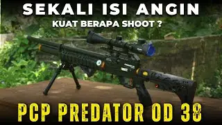 How many shots is effective for the PCP Predator Tactical OD 38 air rifle? REVEALED!