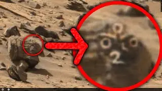 Strange Anomalies of Mars #61. Numbers and Rock Art?