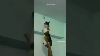 The best selection of jokes