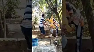 Fat Curry & Only Testy !!🥴Goat 🐐 Cutting ✂️ Shorts#villagelife #cooking #ରାଜfoodvloges9363