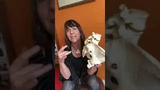 The Importance of Your Sit Bones