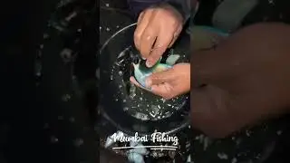 How to clean Green Mussels in 30 seconds | Mumbai Fishing |