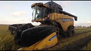 cx 6080 &ccedil;eltik hasadı