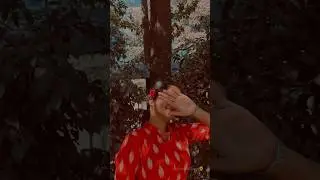 Varaha nadhikarai🦢#layout #vlog #vlogs #tamil #aesthetic #oldsong #traditional #ethnic #trendingbgm