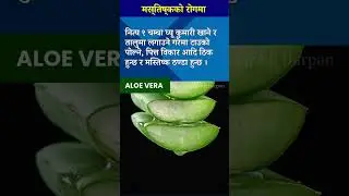 एलोभेराको (घ्यु कुमारी) फाईदा 3  #benefitsofaloevera