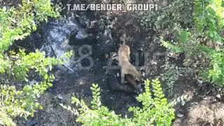 Bender Group (video 96)