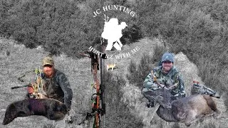 Persistence - 5 Days Hunting Late Rut Fallow Deer (The Extended Version)