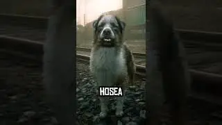 if red dead redemption 2 characters were animals