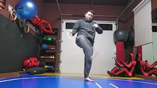 WTD 2 Step Kick Combination 197