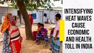 Intensifying Heat Waves Cause Economic and Health Toll in India