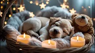 10 Hours of Deep Sleep Music for Dogs 🐶💖Anxiety Relief | Calm Dog Music | Sleep Music for Dogs💖#