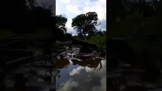 #nature #naturelover#natureshorts#naturevlogger #naturephotography