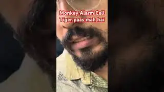 Tiger Paas Mah Hai #tiger #jimcorbett #wildlifedzone #shorts #short
