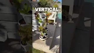 Растения можно выращивать где угодно, так что начинайте!