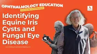 Identifying Equine Iris Cysts and Fungal Eye Disease
