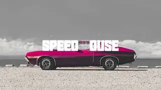 SPEED HOUSE || Melodic Rhythms and Groove Adventures | Bass Anthem Evolution: History of Slap House