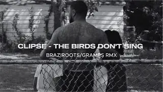 CLIPSE - BIRDS DON'T SING - BRAZIROOTS/GRAMPS RMX (Official Music Video)