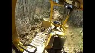 Catd5 Reclaiming Logging Road