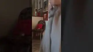 Guy does fashion show in panda pants!!!