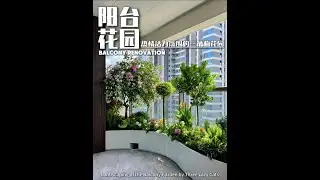 A bougainvillea阳台花园 with a warm and dynamic atmosphere #阳台花园 #阳台改造 #绿植造景 #阳台种植 #室内绿植
