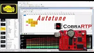 CobraRTP v3.0 + eCtune - Autotune (live tuning)