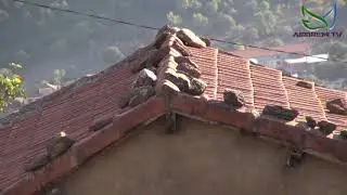 # Assirem-Tv ( Village Cheurfa 