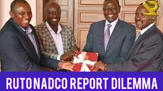 ODM - UDA NADCO report takes different ways as Ruto prepare to shape up ground politics 