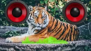 Prismo ~ Wild Side [Bass Boosted]