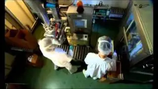 DSM Nutritional Products (English)