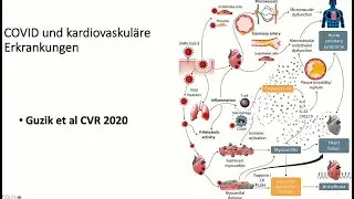 Kardiologie-Update: Covid-19 und Luftverschmutzung als Gefahren f&uuml;r das Herz-Kreislaufsystem
