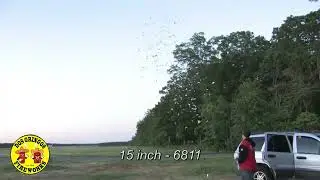 Confetti Cannon 6810, 6811, 6812 Pyro Demon -Dos Gringos Fireworks