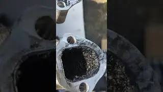 1.9 tdi why u do egr delete