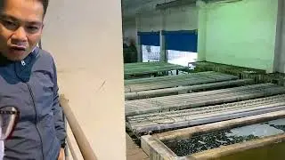Raw aluminum cleaning process, dipped in clean water tank // viet ha vlog