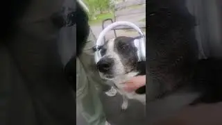 в детстве цыганрка мне одна...