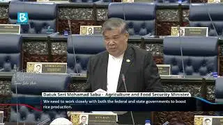 Nine paddy granary projects in Sarawak to strengthen national food security