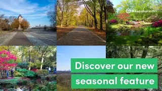 New: Experience 4 seasons by bike | Bike Labyrinth