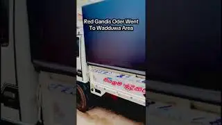 Red gandis oder 😚 went to wadduwa area🥰 woodaura timber store