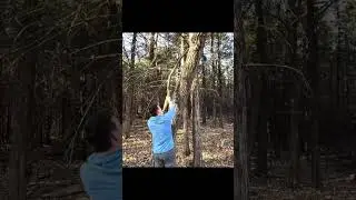 No disc retriever? No problem&hellip; #discgolf #fishbros #funny #vlog