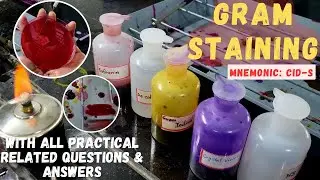 GRAM STAINING | Bacterial Staining Technique | Microbiology | Related All Q&As | The Chill Medico